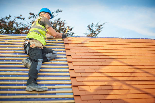 Best Metal Roofing Installation  in Brunswick, MD